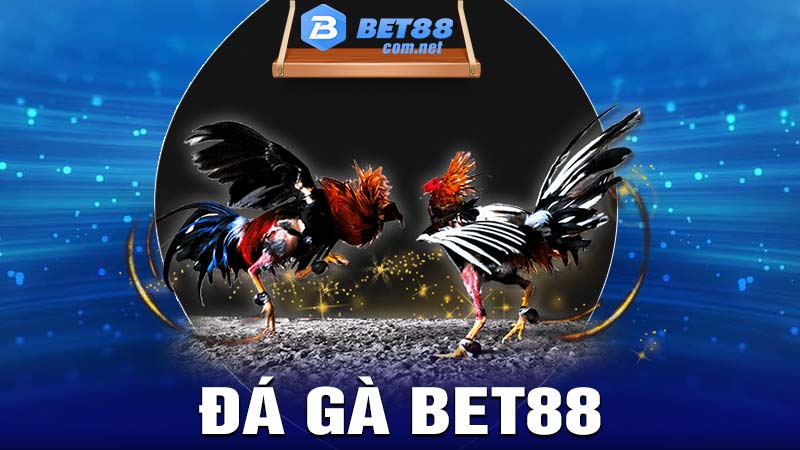 Đá gà bet88 