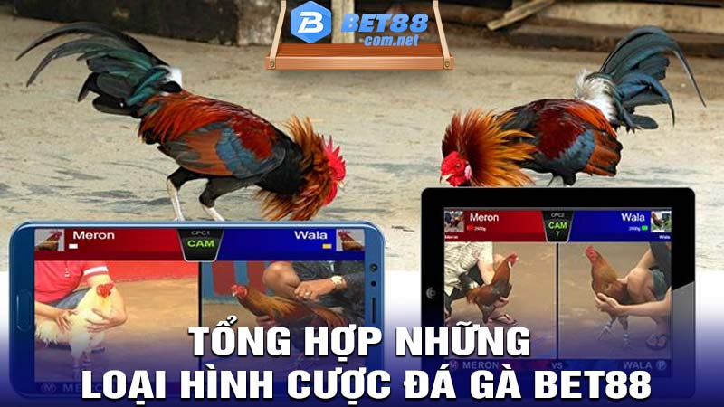 Tổng hợp những loại hình cược đá gà Bet88 hay nhất