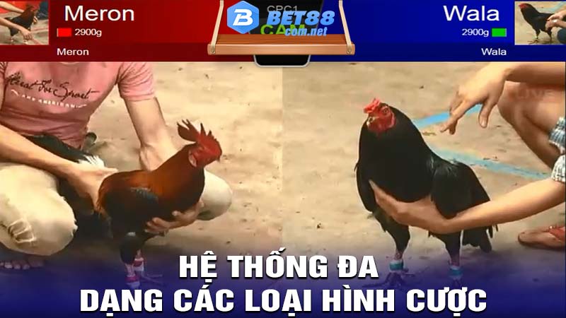 Hệ thống đa dạng các loại hình cược