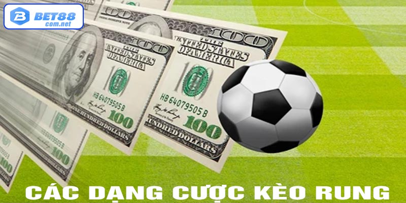 Các dạng cược rung phổ biến