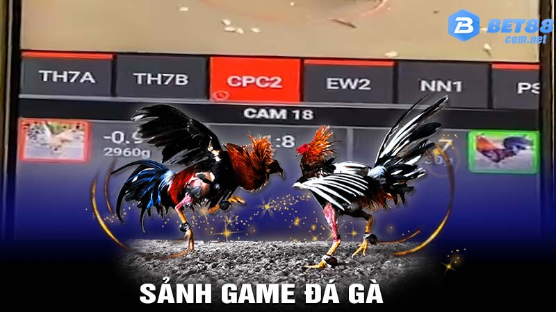 Sảnh game đá gà 