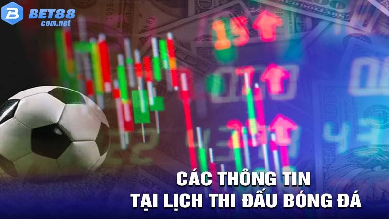 Lịch Thi Đấu Bóng đá cung cấp những thông tin gì?